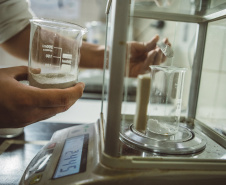 Pesquisadores da Universidade Tecnológica Federal do Paraná desenvolveram um material produzido a partir do crescimento de fungos em resíduos da agroindústria que pode substituir plásticos, poliestireno expandido e outros materiais danosos ao meio ambiente utilizados na indústria de embalagens e na construção civil. Foto: Fundação Araucária