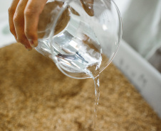 Pesquisadores da Universidade Tecnológica Federal do Paraná desenvolveram um material produzido a partir do crescimento de fungos em resíduos da agroindústria que pode substituir plásticos, poliestireno expandido e outros materiais danosos ao meio ambiente utilizados na indústria de embalagens e na construção civil. Foto: Fundação Araucária