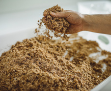 Pesquisadores da Universidade Tecnológica Federal do Paraná desenvolveram um material produzido a partir do crescimento de fungos em resíduos da agroindústria que pode substituir plásticos, poliestireno expandido e outros materiais danosos ao meio ambiente utilizados na indústria de embalagens e na construção civil. Foto: Fundação Araucária