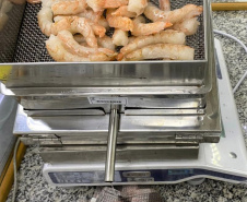 Amostras de camarão rosa descascado e congelado foram reprovadas em exame pericial realizado no Laboratório de Pré-medidos ou Pré-embalados da Regional do Instituto de Pesos e Medidas do Paraná, em Cascavel, no dia primeiro de março.  -  Foto: Divulgação IPEM