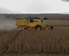 Principal produto do agro paranaense e brasileiro, o cultivo da soja ocupa mais de um quarto de todo o território do Estado e está espalhado por todas as regiões.  -  Foto: Gilson Abreu/AEN
