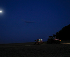 Principal produto do agro paranaense e brasileiro, o cultivo da soja ocupa mais de um quarto de todo o território do Estado e está espalhado por todas as regiões.  -  Foto: Gilson Abreu/AEN