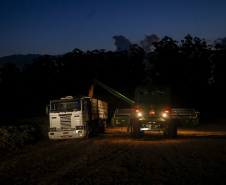 Principal produto do agro paranaense e brasileiro, o cultivo da soja ocupa mais de um quarto de todo o território do Estado e está espalhado por todas as regiões.  -  Foto: Gilson Abreu/AEN