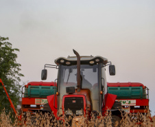 Principal produto do agro paranaense e brasileiro, o cultivo da soja ocupa mais de um quarto de todo o território do Estado e está espalhado por todas as regiões.  -  Foto: Gilson Abreu/AEN