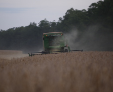 Principal produto do agro paranaense e brasileiro, o cultivo da soja ocupa mais de um quarto de todo o território do Estado e está espalhado por todas as regiões.  -  Foto: Gilson Abreu/AEN