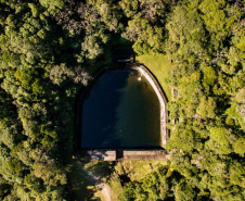 Os Mananciais da Serra, em Piraquara, são uma espécie de santuário de libélulas. Preservada pela Sanepar, essa área de Mata Atlântica abriga 113 espécies desse inseto. Os Mananciais são protegidos desde 1904, quando começaram as obras para o primeiro sistema de captação de água para Curitiba. -  16/03/2021  -  Foto: Divulgação Sanepar