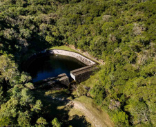 Os Mananciais da Serra, em Piraquara, são uma espécie de santuário de libélulas. Preservada pela Sanepar, essa área de Mata Atlântica abriga 113 espécies desse inseto. Os Mananciais são protegidos desde 1904, quando começaram as obras para o primeiro sistema de captação de água para Curitiba. -  16/03/2021  -  Foto: Divulgação Sanepar