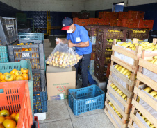 Profissionais de saúde que atuam no enfrentamento à Covid-19 foram surpreendidos com uma ação promovida pela Ceasa Paraná e pelos permissionários da unidade de Curitiba. No momento mais crítico da pandemia no Estado, os atacadistas e produtores se reuniram e arrecadaram 7 mil quilos de frutas para serem entregues em cinco hospitais de Curitiba e da Região Metropolitana e em nove Unidades de Pronto Atendimento (UPAs) da Capital. Foto: Ari Dias/AEN