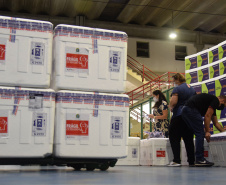 O Governo do Estado começa a distribuição da uma nova remessa de vacinas contra o coronavírus nesta quinta-feira (18). - Foto: Américo Antonio/SESA
