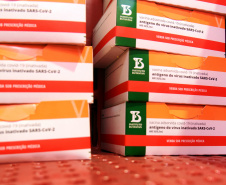 O Governo do Estado começa a distribuição da uma nova remessa de vacinas contra o coronavírus nesta quinta-feira (18). - Foto: Américo Antonio/SESA