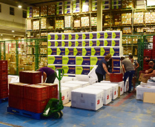 O Governo do Estado começa a distribuição da uma nova remessa de vacinas contra o coronavírus nesta quinta-feira (18). - Foto: Américo Antonio/SESA