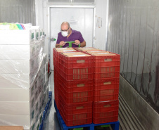 O Governo do Estado começa a distribuição da uma nova remessa de vacinas contra o coronavírus nesta quinta-feira (18). - Foto: Américo Antonio/SESA