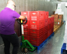 O Governo do Estado começa a distribuição da uma nova remessa de vacinas contra o coronavírus nesta quinta-feira (18). - Foto: Américo Antonio/SESA