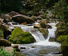 Para celebrar o Dia Mundial da Água, comemorado em 22 de março, a Secretaria de Estado do Desenvolvimento Sustentável e do Turismo (Sedest) irá divulgar vídeos temáticos durante a próxima semana e promover, na sexta-feira (26), o webinar: os cinco instrumentos de gestão de Recursos Hídricos, em parceria com a Sanepar. Na foto, Litoral do Paraná  -  Curitiba, 19/03/2021  -  Foto: Cyrus Erlit