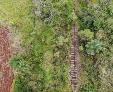 Visita do grupo técnico ao ponto de ligação da nova Ferroeste com a malha oeste.
Foto Gilson Abreu/AEN