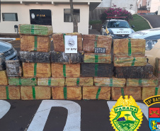 As forças de segurança do Paraná apreenderam cerca de 145,2 toneladas a mais de drogas nos doze meses de 2020, se comparado com o ano de 2019. De acordo com os dados da Secretaria Estadual da Segurança Pública (SESP), divulgados nesta quarta-feira (24/03), foram 288,9 toneladas de drogas (maconha, cocaína e crack) apreendidas de janeiro a dezembro de 2020, contra 143,6 toneladas durante o mesmo período de 2019, ou seja, um aumento de 50,2%.  -  Curitiba, 24/03/2021  -  Foto: Divulgação SESP-PR