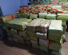 As forças de segurança do Paraná apreenderam cerca de 145,2 toneladas a mais de drogas nos doze meses de 2020, se comparado com o ano de 2019. De acordo com os dados da Secretaria Estadual da Segurança Pública (SESP), divulgados nesta quarta-feira (24/03), foram 288,9 toneladas de drogas (maconha, cocaína e crack) apreendidas de janeiro a dezembro de 2020, contra 143,6 toneladas durante o mesmo período de 2019, ou seja, um aumento de 50,2%.  -  Curitiba, 24/03/2021  -  Foto: Divulgação SESP-PR