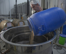 Cervejas artesanais paranaenses estão entre as melhores do País - As cervejarias foram premiadas no Concurso Brasileiro de Cervejas 2021,evento que reuniu mais de três mil rótulos brasileiros. O Paraná foi oterceiro colocado em número de medalhas, atrás apenas de SantaCatarina e Rio Grande do Sul.  -  Curitiba, 26/03/2021  -  Foto: Divulgação