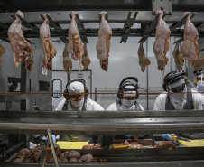 Com crescimento de 3,9%, Paraná produz um terço da carne de frango do Brasil .Foto : Jonathan Campos / AEN