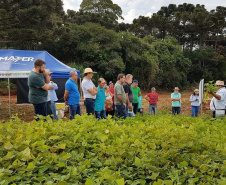 Produtores de feijão e milho interessados em melhorar a produtividade das suas lavouras estão convidados a participar de um Dia de Campo Virtual, nos dias 30 e 31. A atividade é parte da ação do Projeto Centro-Sul de Feijão e Milho, uma parceria entre a Syngenta e o IDR-Paraná (Instituto de Desenvolvimento Rural do Paraná-Iapar-Emater). -  Curitiba, 29/03/2021  -  Foto: Divulgação IDR