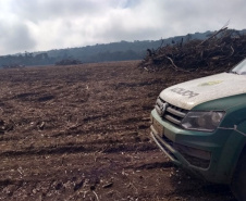 Em 2020, Polícia Ambiental atende mais de 15 mil ocorrências e faz 1,5 mil encaminhamentos no Paraná  -  Curitiba, 29/03/2021  -  Foto: Divulgação SESP-PR