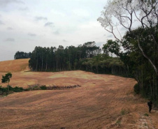 Em 2020, Polícia Ambiental atende mais de 15 mil ocorrências e faz 1,5 mil encaminhamentos no Paraná  -  Curitiba, 29/03/2021  -  Foto: Divulgação SESP-PR