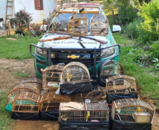 Em 2020, Polícia Ambiental atende mais de 15 mil ocorrências e faz 1,5 mil encaminhamentos no Paraná  -  Curitiba, 29/03/2021  -  Foto: Divulgação SESP-PR