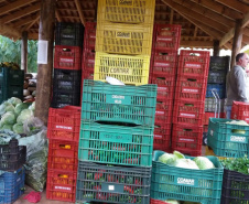 O Governo do Paraná firma contratos com cerca de 180 cooperativas e associações de pequenos agricultores para garantir a entrega de produtos da agricultura familiar nas mais de 2,1 mil escolas estaduais.  -  Foto: Cooperativa Agropecuária Matoriquense (Coamar), de Mato Rico