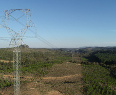 A Copel colocou em operação neste domingo (28) a nova linha de transmissão de energia que conecta as subestações Curitiba Leste (PR) e Blumenau (SC).  -  Foto"Divulgação Copel