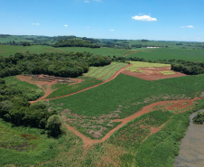 Área de plantio na APP do rio Chopim.Foto: Copel