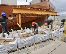 Operações inéditas são realizadas no Porto de Antonina