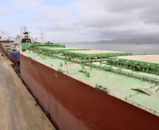 Mais um grande navio graneleiro atraca no Corredor de Exportação do Porto de Paranaguá para receber uma carga recorde de farelo de soja. O Pacific Myra, com 292 metros de comprimento (loa) e 45 metros de largura (boca), atracou no berço 214, no último final de semana, e segue carregando. A embarcação vai levar, para a Holanda, 108.577 mil toneladas do produto. -  Paranaguá, 12/04/2021  -  Foto: Claudio Neves/Portos do Paraná