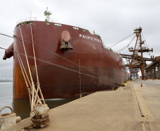 Mais um grande navio graneleiro atraca no Corredor de Exportação do Porto de Paranaguá para receber uma carga recorde de farelo de soja. O Pacific Myra, com 292 metros de comprimento (loa) e 45 metros de largura (boca), atracou no berço 214, no último final de semana, e segue carregando. A embarcação vai levar, para a Holanda, 108.577 mil toneladas do produto. -  Paranaguá, 12/04/2021  -  Foto: Claudio Neves/Portos do Paraná