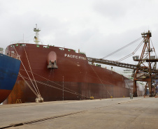 Mais um grande navio graneleiro atraca no Corredor de Exportação do Porto de Paranaguá para receber uma carga recorde de farelo de soja. O Pacific Myra, com 292 metros de comprimento (loa) e 45 metros de largura (boca), atracou no berço 214, no último final de semana, e segue carregando. A embarcação vai levar, para a Holanda, 108.577 mil toneladas do produto. -  Paranaguá, 12/04/2021  -  Foto: Claudio Neves/Portos do Paraná