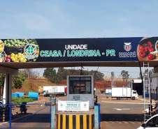 Ceasa Londrina realiza na madrugada desta sexta-feira (16), a partir das 4 horas da manhã, uma ação para doação de hortigranjeiros por parte dos agricultores e permissionários atacadistas da unidade.  -  foto: Divulgação CEASA Londrina