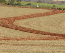 O agronegócio brasileiro vem se comprometendo cada vez mais com a adoção de práticas que poupam os recursos naturais e diminuem a emissão de carbono para a atmosfera. Essa é a conclusão do artigo Desenvolvimento da agricultura de baixo carbono no Brasil, publicado pelo Instituto de Pesquisa Econômica Aplicada (Ipea), órgão vinculado ao Ministério da Economia.  -  Foto: Divulgação IAPAR