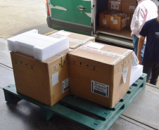 Sesa disponibiliza 113 novos leitos exclusivos Covid-19 em cinco dias e envia equipamentos para hospitais  -  Curitiba, 24/02/2021  -  Foto: Américo Antonio/SESA