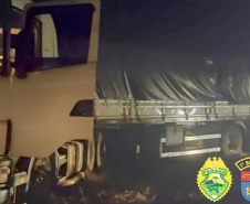 Carga de 3,6 toneladas de maconha é apreendida pela PM durante a operação Tático Móvel III em Prudentópolis (PR) - Foto: SESP/PR