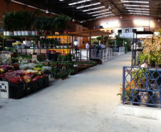 A Ceasa Curitiba está intensificando os cuidados na circulação em seu mercado atacadista tanto de hortigranjeiros, como para a comercialização de flores e plantas ornamentais. - Curitiba, 16/04/2021  -  Foto: CEASA/PR