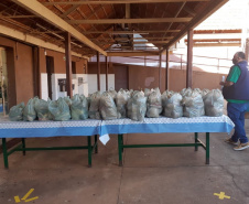 A equipe do programa CGE Itinerante, da Controladoria-Geral do Estadol (CGE), concluiumais um roteiro pelas cidades do interior do Paraná. Os servidores conferiram a distribuiçãoda vacina contra a Covid-19 e dos kits de merenda escolar para famílias com filhos na red estadual.  -  Foto: Divulgação CGE 