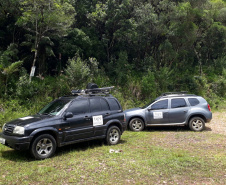 Teve início, nesta semana, a segunda fase do diagnóstico da fauna ao longo do traçado por onde vai passar a malha ferroviária da Nova Ferroeste.  -  Foto: Fundação Instituto de Pesquisa Econômica