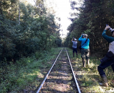 Teve início, nesta semana, a segunda fase do diagnóstico da fauna ao longo do traçado por onde vai passar a malha ferroviária da Nova Ferroeste.  -  Foto: Fundação Instituto de Pesquisa Econômica