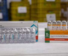 O Paraná vai receber nesta quinta-feira (22) mais 205.200 doses de vacinas contra a Covid-19. São 166.000 da AstraZeneca/Fiocruz e 39.200 da CoronaVac/Butantan.  -  Curitiba, 22/04/2021  -  Foto: Gilson Abreu/AEN