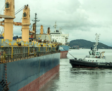 O Porto de Antonina está apto para receber navios com maior capacidade de carga. O calado operacional do canal de acesso ao terminal passa de 8 para 8,5 metros. Essa é a profundidade em que as embarcações podem ficar submersas na água, ao navegar para entrar ou sair do terminal.  -  Paranaguá, 22/04/2021  -  Foto: Claudio Neves/Portos do Paraná