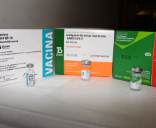 O Governo do Estado começou a distribuir sexta-feira (23) para as 22 Regionais de Saúde do Paraná mais 205.130 doses da vacina contra a Covid-19. Os imunizantes integram o 14º lote encaminhado pelo Ministério da Saúde na quinta-feira (22), composto por 166.000 doses da Covishield, produzida pela Universidade de Oxford/AstraZeneca/Fiocruz, e 39.130 doses da CoronaVac, desenvolvida pelo Instituto Butantan/Sinovac. - Curitiba, 23/04/2021  -   Foto: Américo Antonio/SESA