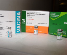 O Governo do Estado começou a distribuir sexta-feira (23) para as 22 Regionais de Saúde do Paraná mais 205.130 doses da vacina contra a Covid-19. Os imunizantes integram o 14º lote encaminhado pelo Ministério da Saúde na quinta-feira (22), composto por 166.000 doses da Covishield, produzida pela Universidade de Oxford/AstraZeneca/Fiocruz, e 39.130 doses da CoronaVac, desenvolvida pelo Instituto Butantan/Sinovac. - Curitiba, 23/04/2021  -   Foto: Américo Antonio/SESA