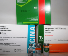 O Governo do Estado começou a distribuir sexta-feira (23) para as 22 Regionais de Saúde do Paraná mais 205.130 doses da vacina contra a Covid-19. Os imunizantes integram o 14º lote encaminhado pelo Ministério da Saúde na quinta-feira (22), composto por 166.000 doses da Covishield, produzida pela Universidade de Oxford/AstraZeneca/Fiocruz, e 39.130 doses da CoronaVac, desenvolvida pelo Instituto Butantan/Sinovac. - Curitiba, 23/04/2021  -   Foto: Américo Antonio/SESA