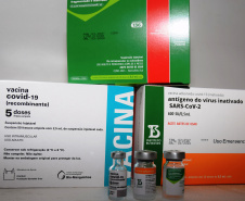 O Governo do Estado começou a distribuir sexta-feira (23) para as 22 Regionais de Saúde do Paraná mais 205.130 doses da vacina contra a Covid-19. Os imunizantes integram o 14º lote encaminhado pelo Ministério da Saúde na quinta-feira (22), composto por 166.000 doses da Covishield, produzida pela Universidade de Oxford/AstraZeneca/Fiocruz, e 39.130 doses da CoronaVac, desenvolvida pelo Instituto Butantan/Sinovac. - Curitiba, 23/04/2021  -   Foto: Américo Antonio/SESA