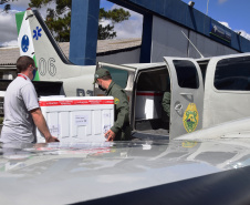 O Governo do Estado começou a distribuir sexta-feira (23) para as 22 Regionais de Saúde do Paraná mais 205.130 doses da vacina contra a Covid-19. Os imunizantes integram o 14º lote encaminhado pelo Ministério da Saúde na quinta-feira (22), composto por 166.000 doses da Covishield, produzida pela Universidade de Oxford/AstraZeneca/Fiocruz, e 39.130 doses da CoronaVac, desenvolvida pelo Instituto Butantan/Sinovac. - Curitiba, 23/04/2021  -   Foto: Américo Antonio/SESA