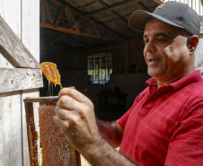 Produção de mel.
Ortigueira - Pr
Foto: Gilson Abreu/AEN